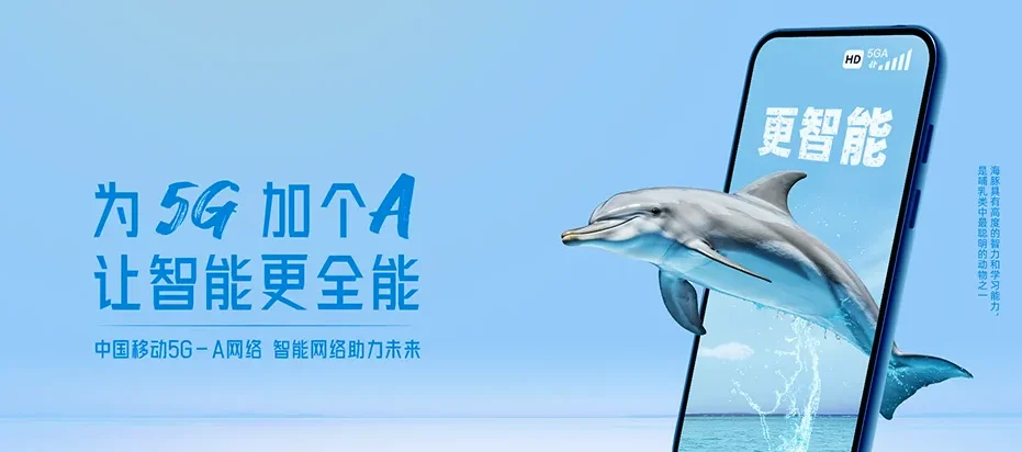 梁河县梁河县大厂乡 移动宽带